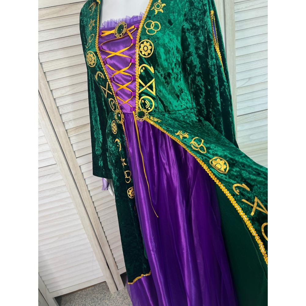 Hocus Pocus Winifred Sanderson Halloween Cosplay Velvet Medieval Gown Medium - Picture 8 of 16